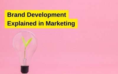 Brand Development Explained in Marketing