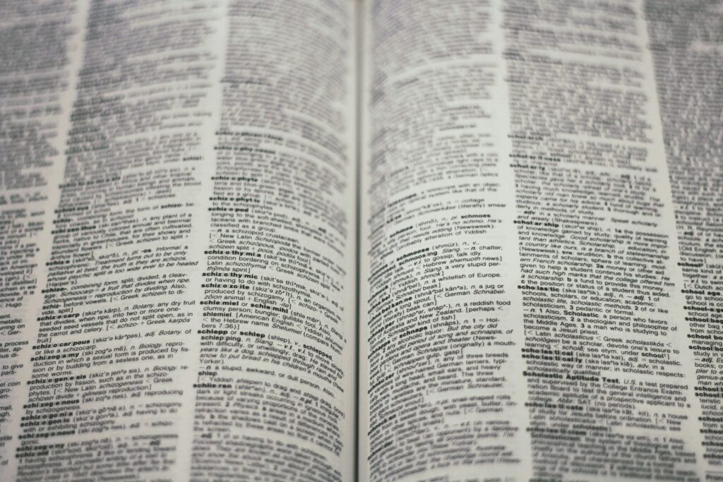 Image depicting a page from a translation book with text