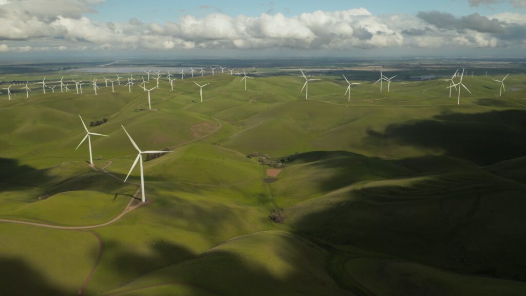 Eco-Friendly-Initiatives-How-Businesses-Can-Lead-the-Way-to-a-Greener-Future-002