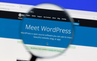 How To Maximize ROI on WordPress Hosting Solutions