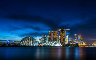 The Symbiosis of Digital Marketing and Accounting in Singapore’s Competitive Landscape