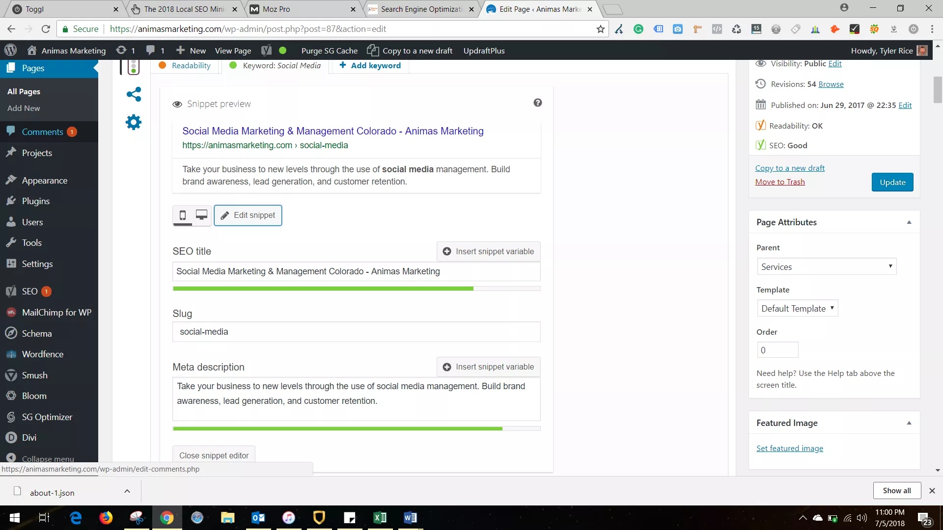 local seo wordpress dummies